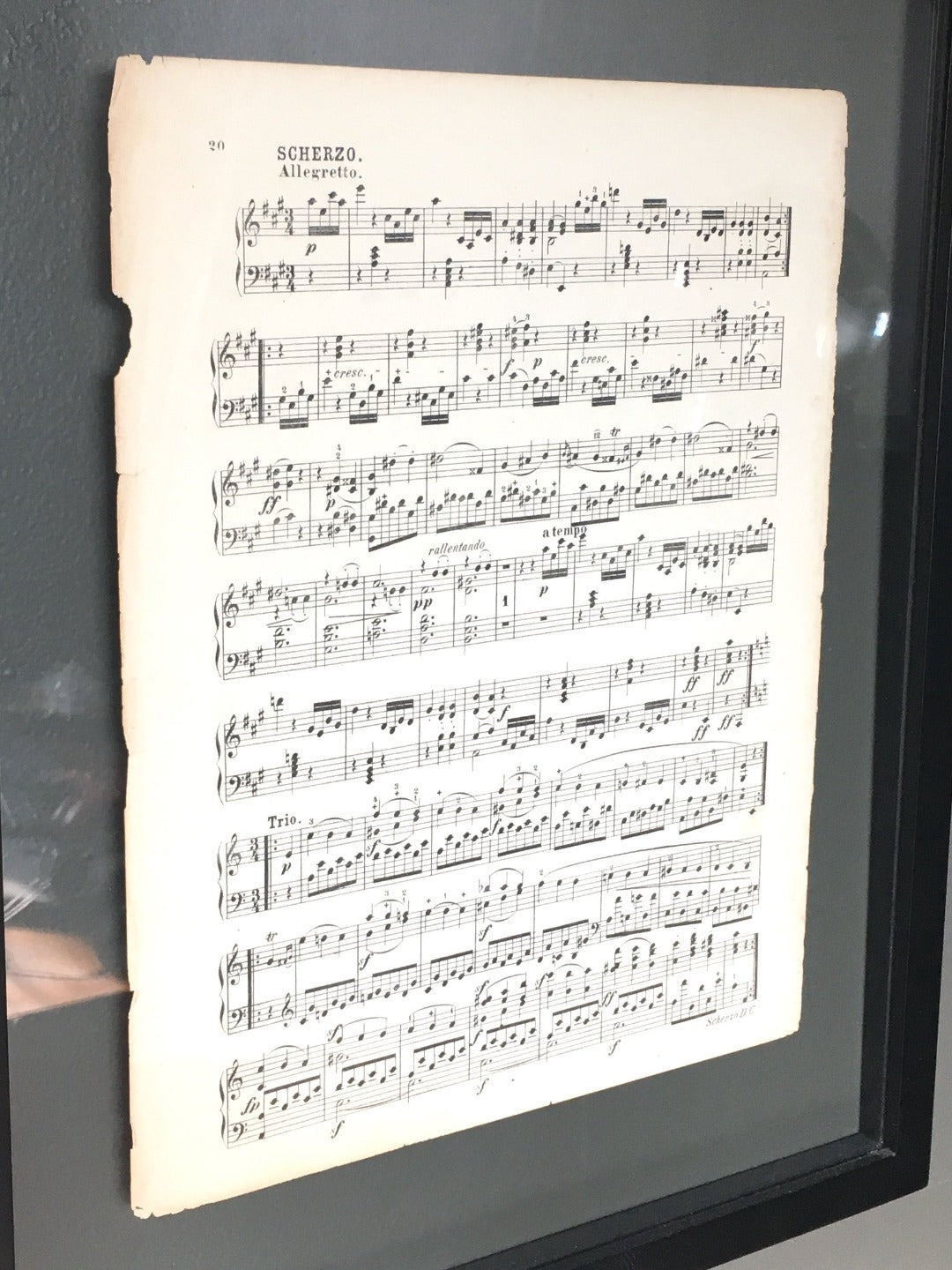 Antique Sheet Music in Floating Frames